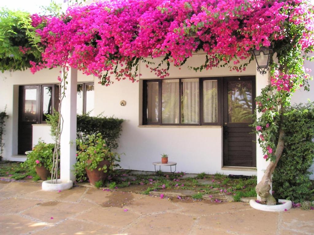Quinta Da Ameijeira Lagos Rum bild